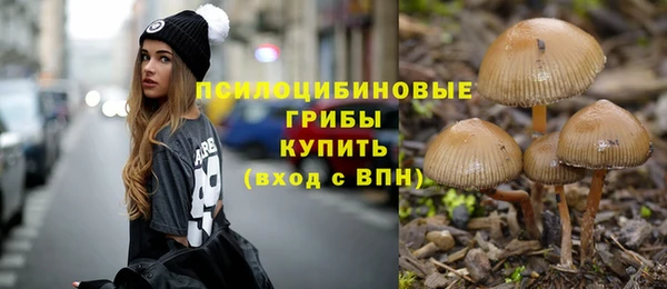 Альфа ПВП Баксан