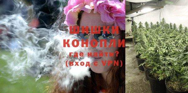 ПСИЛОЦИБИНОВЫЕ ГРИБЫ Рославль